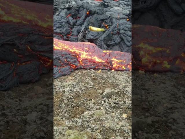 Banana thrown into Icelandic volcano lava at Reykjanes. WILL IT SURVIVE?