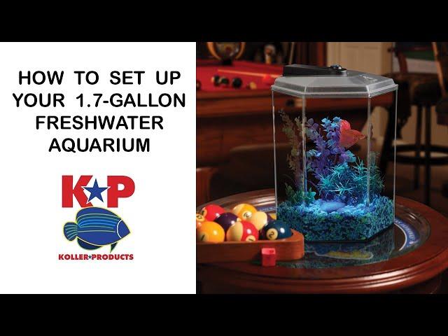 How to Set Up Your 1.7-Gallon Hex FRESHWATER AQUARIUM -  Koller Products