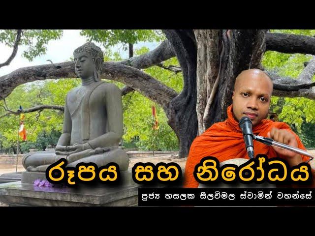 රූපය සහ නිරෝධය |#438බණවර|#REVHASALAKSEELAWIMALATHERO |2025.03.08