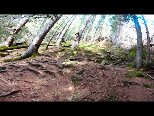 Winter Trail Running Val Gardena, Ortisei (pov, full snowy Trail section)