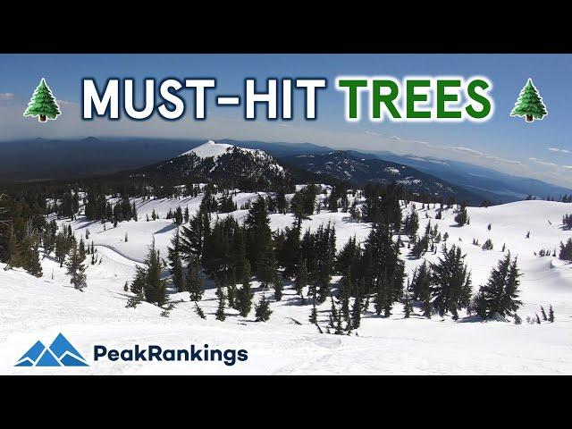 Most UNREAL Resorts for Tree Skiing