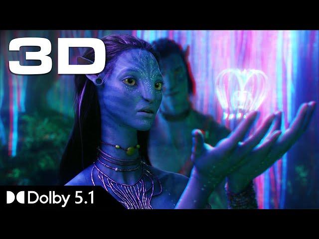 4K (3D) The Ceremony - Avatar (Dolby 5.1)