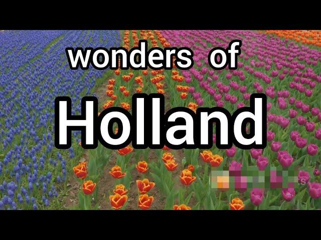 Wonders of Holland: Land of Windmills and Lavender Flowers "Travel Guide