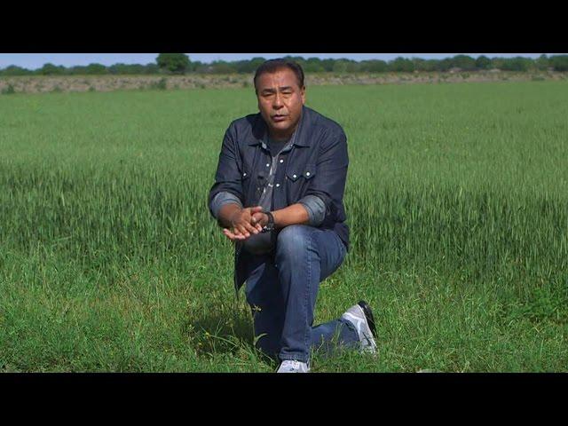 ABC News' John Quinones: Lessons from 'What Would You Do?'