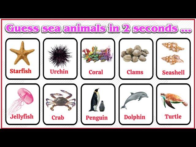 Sea Animals | Sea Animals Quiz | Learn Sea Animal Names | Ocean Animal | Sea Animal Puzzle