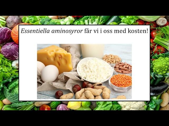 Lektion 4 - Proteiner, vitaminer och mineraler del 1