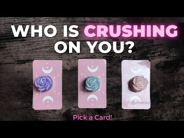 Who has a CRUSH on you?  Pick a Card Timeless Love Tarot Reading  What do they like about you?