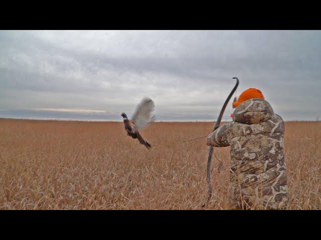 Pheasant Hunt with Traditional Bow | 16 SLOW-MO SHOTS & THE GREATEST MISSES in Bowhunting (ONE HIT)