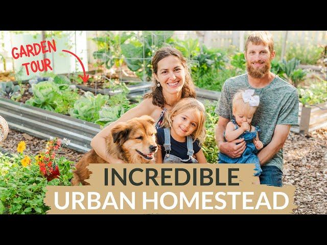 Central South Florida Food Forest (2 Year Urban Homestead Garden Tour)