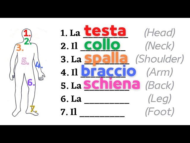 Italian how to name HUMAN BODY parts | Body and hands | With pictures | Learn italian free lessons