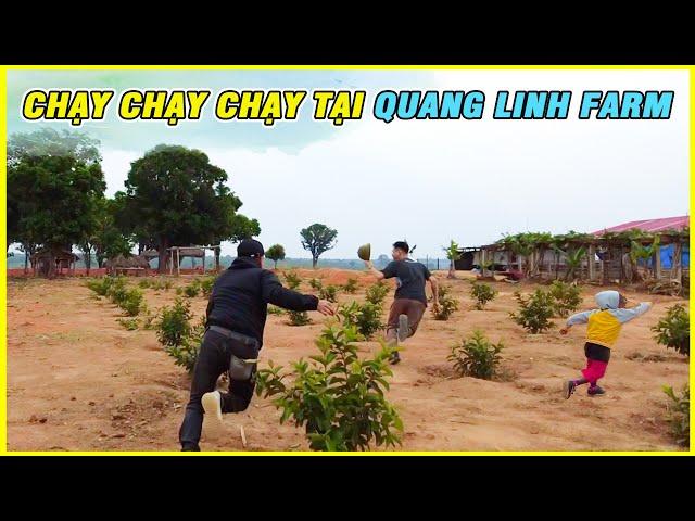 Chạy Chạy Chạy Tại Quang Linh Farm??? Lần Đầu Tỉa Ổi Và Cái Kết || Cô Gái Châu Phi.