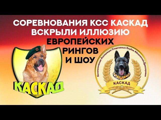 История соревнований КСС КАСКАД. Что будет, если проснётся ДОСААФ? KSS KASKAD competition.