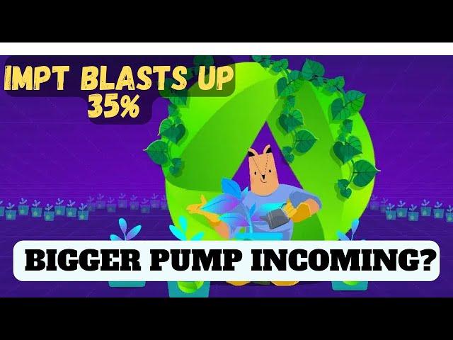 IMPT Price Prediction as IMPT Blasts Up 35% Bigger Pump Incoming? ( @CryptoSattar ) #bitcoin