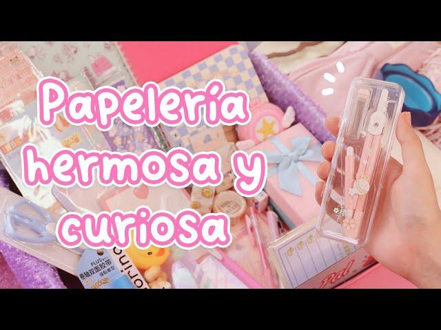 Papelería que no sabías necesitabas!  HAUL | @stationerypal