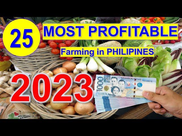 Top 25 Most Profitable Farming in 1 Hectare Farm | Philippines