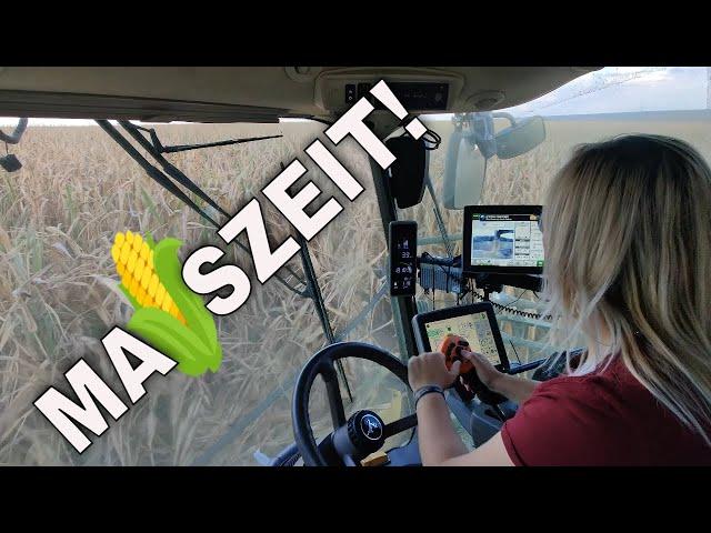 #MaisZeit! Weiß Agrardienstleistungen // Mais häckseln bei Holzzelle [MSH] 4k UHD Sonntag 11.09.2022