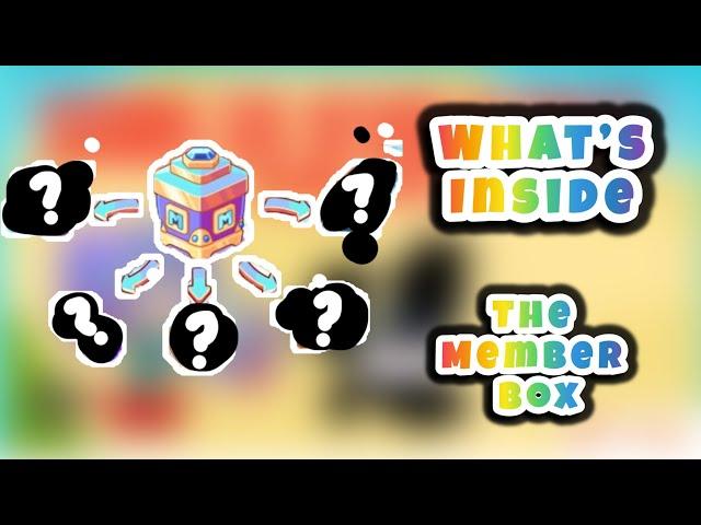 Prodigy Math Game | What’s Inside The Membership Box???