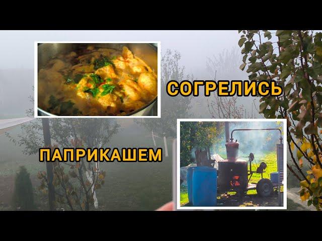 #vlog ОТДЫХАТЬ, НЕ РАБОТАТЬ//ПАПРИКАШ//ЖИЗНЬ В СВОЕМ ДОМЕ//№57