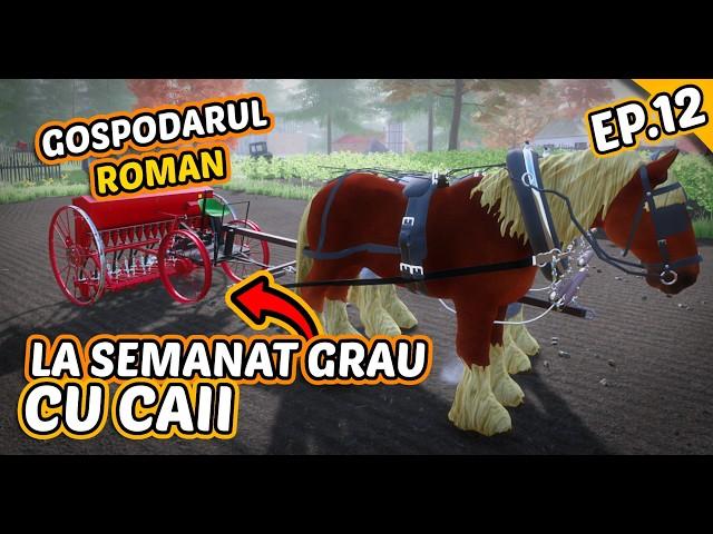 Am semănat grâu cu caii | GOSPODARUL ROMÂN | EP.12