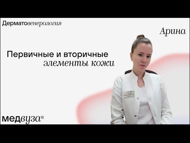 Первичные и вторичные элементы кожи | Дерматовенерология | Медвуза