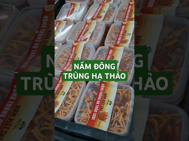 Nấm đông trùng hạ thảo tươi #mushroom #dtht