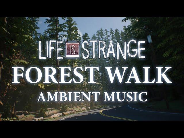 Life Is Strange Ambient Music | Forest Walk - Relaxing, Sleeping, Studying