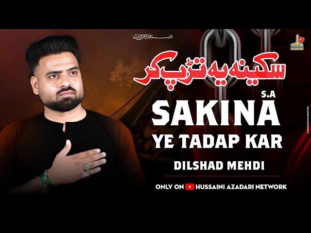 Nohay 2025 | Sakina ع Ye Tadap Kar | Dilshad Mehdi | Noha Bibi Sakina 2025 | Muharram 2025