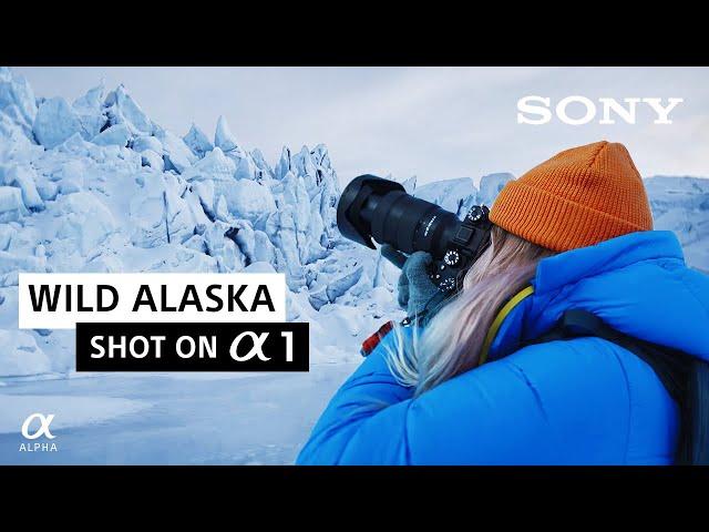 Wild Alaska | Charly Savely | Shot on Sony Alpha 1