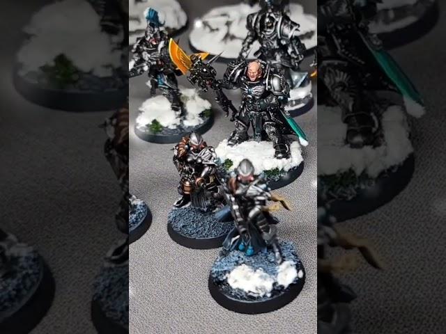 my Adeptus Custodes army ️ or as I sometimes call them, "the Cusnowdes"