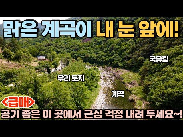 [156] 산 가격 그대로 팝니다! / 맑은 계곡에 접한 토지. 근심 걱정 내려놓고 공기 좋은 곳에서 힐링하세요~ / 충청북도 제천시 덕산면 전원주택지, 토지 매매 #제천부동산