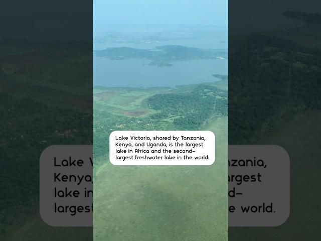 Lake Victoria: The second-largest freshwater lake in the world!