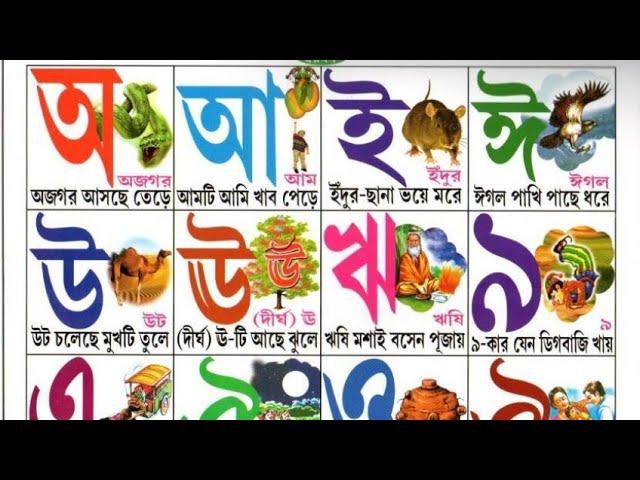 স্বরবর্ণ (অ, আ, ই, ঈ) এবং ব্যঞ্জনবর্ণ (ক, খ, গ, ঘ, ঙ, ! অ অজগর আসছে তেড়ে ! ক কাকাতুয়ার মাথায়