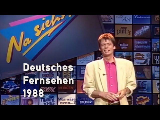 Fernsehen im Jahr 1988