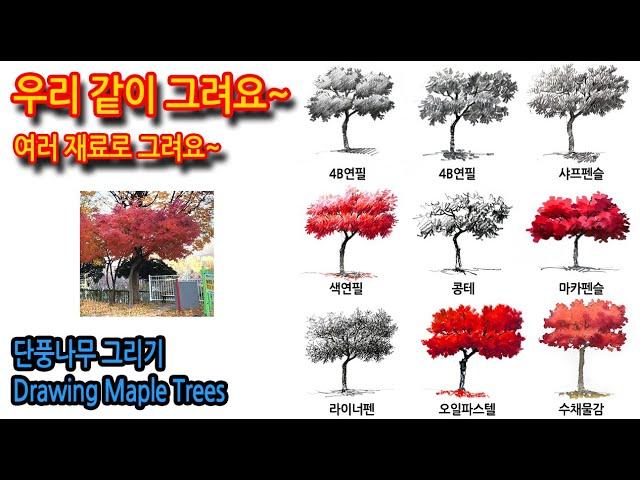 457회) 단풍 나무 그리기Drawing Maple Trees#drawing #그림독학 #나무그리기 #티노씨실시간