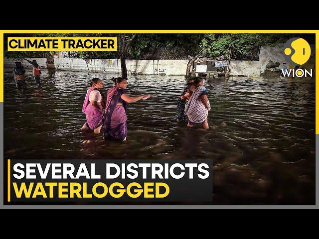 India's Gujarat under red alert for heavy rain | WION Climate Tracker | WION News