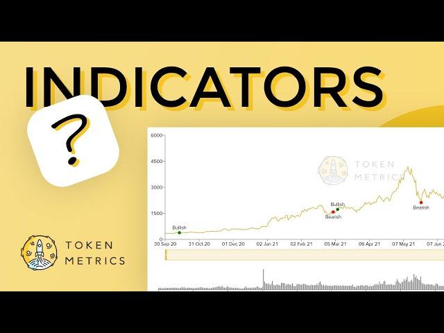 Token Metrics Visual Trends Indicators | How to Get in Early to Make More Money?