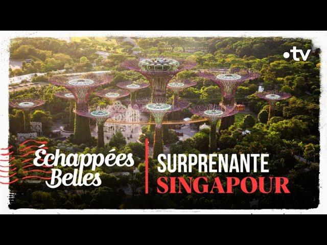 Surprenante Singapour - Echappées belles