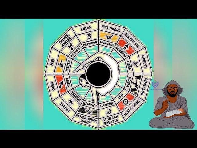 Astrology and Occult Wisdom of the Body | All Signs | Time Stamped