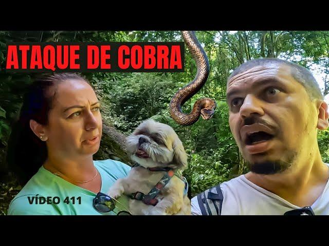 FOMOS ATACADOS POR UMA COBRA JARARACA EM UMA CACHOEIRA - VÍDEO 411