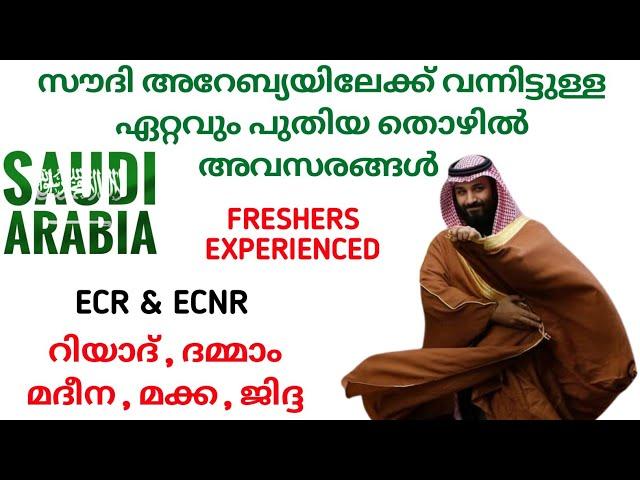 JOB VACANCY IN SAUDI ARABIA 2024| GULF JOBS MALAYALAM| JOBS IN SAUDI ARABIA|SAUDI JOBS MALAYALAM