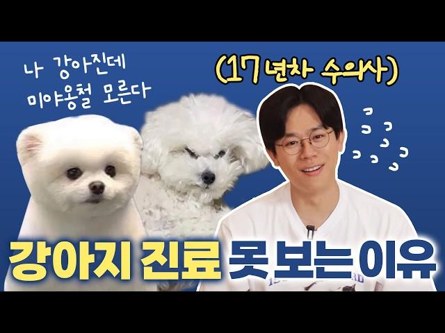 고양이 키우는 사람은 강아지 싫어하나요?