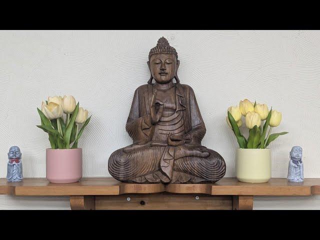 Monk Chat with Empty Cloud Monastics