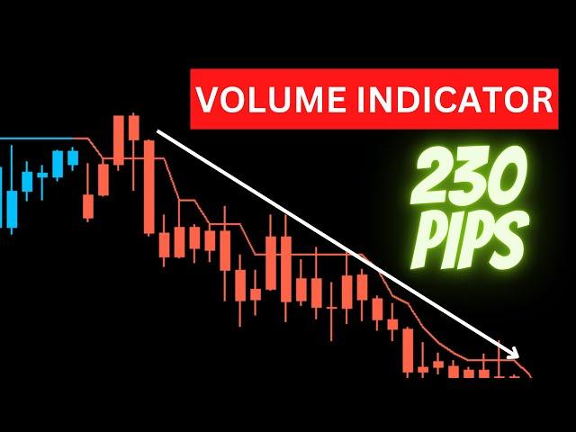 Volume Indicator MT4 - 230 Pips with this Volume Indicator Strategy!