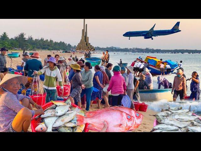 Làng Chài Đẹp Nhất Thành phố Tuy Hoà Phú Yên ║Chợ Hải Sản Cá Tươi Giá Rẻ Thân Thiện