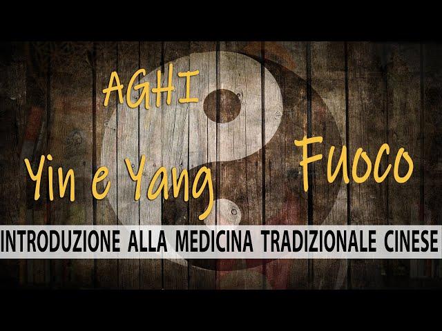 Introduzione alla Medicina Tradizionale Cinese - Aghi Fuoco Yin e Yang.