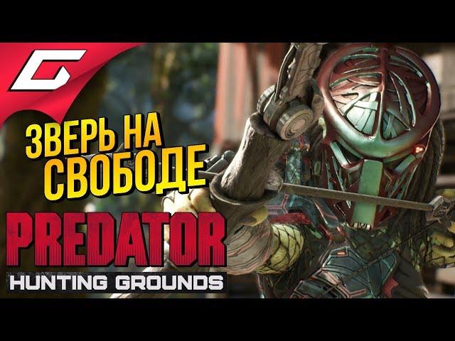 PREDATOR: Hunting Grounds  ДИКИЙ сливной ХИЩНИК