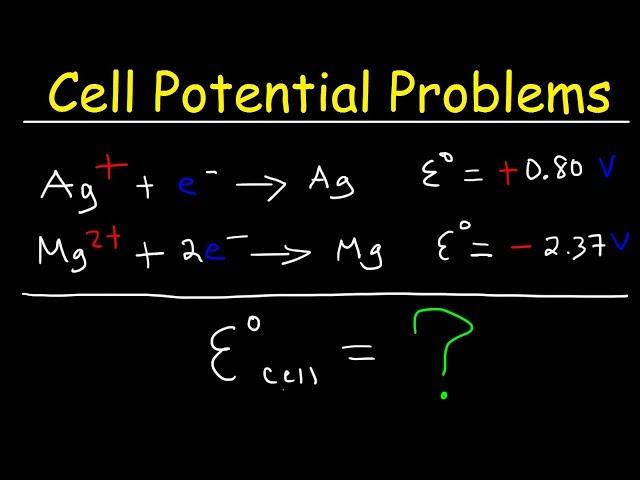 Cell Potential Problems - Electrochemistry