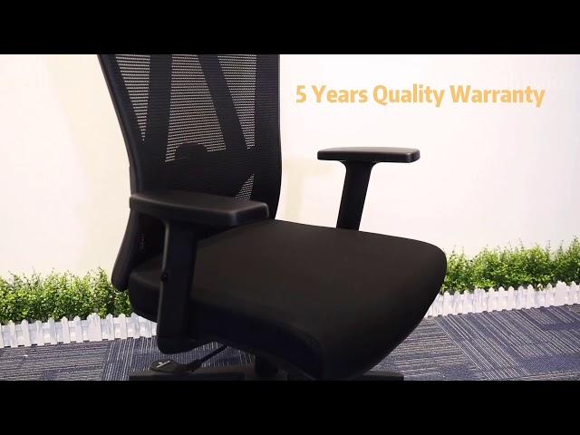 2D lumbar support modern office chair from Noel furniture (China) Direct-factory selling