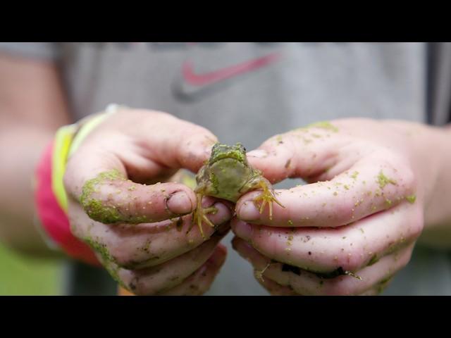 Wisconsin Life | Exploring nature and fun at Pringle Nature Center