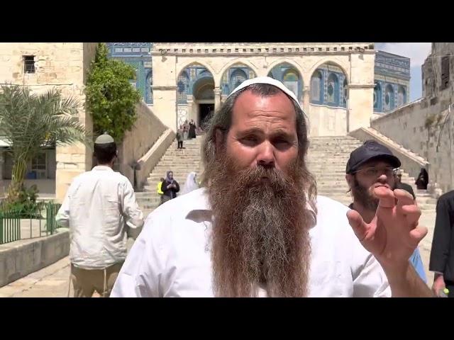 חייבים להציל את הר הבית מהשריפה! | הרב אריה ליפו